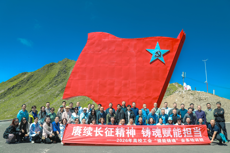 图片8